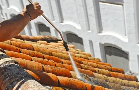 Nettoyage de toitures - Heyrieux